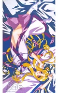 [带亲笔签名]琉璃挂画
