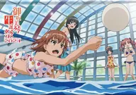 Group B2 Tapestry "A Certain SCIENTIFIC Railgun Misaka Mikoto Nativity Festival 2024" Attraction Prize