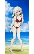 阿良河キウィ 等身大タペストリー 「DMMスクラッチ! TVアニメ 魔法少女にあこがれて 水着 スクラッチ」 A-2賞