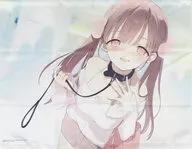 [単品] 成瀬小都 B2タペストリー 「ライトノベル お姉さん派の俺がなぜちっちゃい君を好きになったのか? 1巻 メロンブックス限定版」 同梱特典