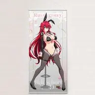 リアス・グレモリー(逆バニー黒) 描き下ろし 特大タペストリー 「ハイスクールD×D HERO」