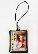 爱佳屏幕清洁擦电击G's magazine 2006年1月号增刊电击G's Festival！Vol.3赠品