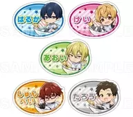 【ボックス】TVアニメ 忘却バッテリー ちゃぽんっ! トレーディングお名前バッジ