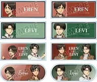 [Box] Attack on Titan Drawing Past and Present ver. Trading Acrylic Name Plate