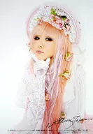 [単品] 宝野アリカ(ALI PROJECT)/髪：ピンク ポートレート 「写真＆執筆集 蜜薔薇、棘薔薇」 購入特典