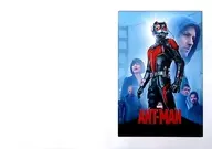 特製フレーム付A4イラストシート 「Blu-ray/DVD アントマン」 Amazon.co.jp特典