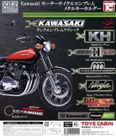 Kawasaki Motorcycle Enbu Rem Metal Key Holder