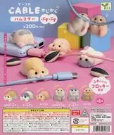 Gacha Mount Paper "Cable-Kaji-Hamster ~ Pusuppusu ~"