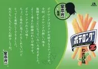 Koichi Domoto A4 Promotional Flyer "Potato Long Z Wasabi Flavor"