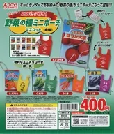 彩色衬纸