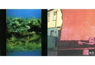 Ko Morota Jacket Size Card (C) "CD Nama ∞ Death" enclosed special bonus