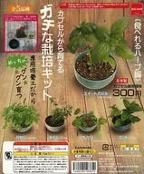 Gacha Mount "Gachi Cultivation Kit from Capsule, Edible Herb Edition"