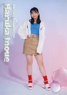 井上春華(早安少女組。'24)HALLOPLU了解簡介手冊2024年Hello！Project官方商店限定