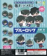 ガチャ台紙 「ブルーロック えふぉるめ セレクトコレクション缶バッジミニ 糸師凛」