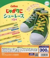 ガチャ台紙 「じゃがりこ シューレース」