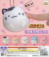 ガチャ台紙 「かぷぐるみ むにむにゃんこ」