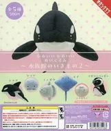 ガチャ台紙 「かわいい かわいい ぬいぐるみ 水族館のいきもの2」