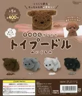 ガチャ台紙 「てのひらサイズのトイプードル ぬいぐるみ カプセルトイ版」