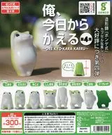 ガチャ台紙 「俺、今日からかえる ボンゲ式カプセル玩具シリーズ第4弾」