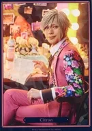 古谷大和(シトロン)/Aグループ トレーディングホログラムポートレート Four Seasons LIVE 2024 ver. 「MANKAI STAGE『A3!』～Four Seasons LIVE 2024～×animatecafe」
