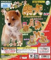 ガチャ台紙 「柴犬 カプセルコレクション」