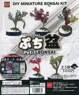 ガチャ台紙 「カプセルDIYシリーズカプセル盆栽キット ぷち盆」