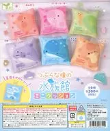 ガチャ台紙 「つぶらな瞳の水族館 ミニクッション」