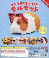 ガチャ台紙  「サングラスをかけたモルモット」