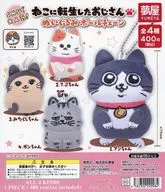 ガチャ台紙 「ねこに転生したおじさん ぬいぐるみボールチェーン」