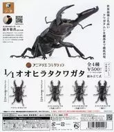 ガチャ台紙 「アニマリエコレクション 1/1 オオヒラタクワガタ」