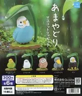 ガチャ台紙 「あまやどり マスコットフィギュア」