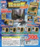 ガチャ台紙 「ミニチュア標本付き昆虫図鑑マスコット クワガタムシ シャイニングトパーズ」
