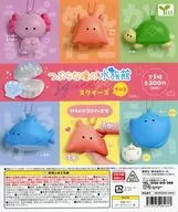 ガチャ台紙 「つぶらな瞳の水族館 スクイーズ その2」