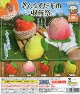 ガチャ台紙 「きんちゃくだもの収穫祭」