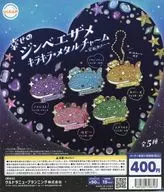 ガチャ台紙 「幸せのジンベエザメ キラキラメタルチャーム ～宝石カラー～」