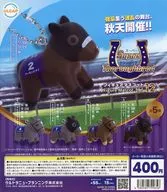 ガチャ台紙 「スーパーサラブレッド フィギュアマスコット Vol.12」