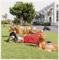 あいみょん メガジャケ 「CD ハート」 Amazon.co.jp購入特典