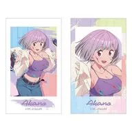 新条アカネ 描き下ろし ペインタースタイルver. Ani-Frame 2枚セット 「グリッドマン ユニバース」