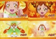 キュアロゼッタ 場面写 変身ブロマイドセット(4枚入) 「ドキドキ!プリキュア」