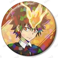 沢田綱吉 「家庭教師ヒットマンREBORN! 描き下ろし カジュアルコーデver. トレーディングホログラム缶バッジ」