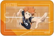 日向翔陽 「ハイキュー!! ランダム場面写缶バッジBOX」
