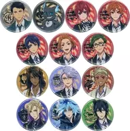 全13種セット 「ディズニー ツイステッドワンダーランド ザ アニメーション ホログラムブラインド缶バッジ vol.1」 アニメイト限定