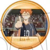 日向翔陽(D) 「ハイキュー!! トレーディング缶バッジ2 日向翔陽BOX」