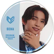 竹野世梛(ICEx) 缶バッジコレクション 「EBiDAN museum 2024」