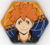 YA(日向翔陽) 第7弾 六角形缶バッジ 「ハイキュー!!」