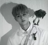 中(SEVENTEEN)后影The Scene卡