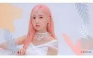 Hitomi Honda (IZ * ONE) IZ * ONE card "CD BLOOM * IZ (I * WAS Ver.)" enclosed special bonus