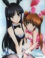 Kazusa & Yukina (Bunny Girl) Character Frame Card "DMM Scratch! WHITE ALBUM2" D-6 Award