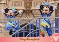 Mickey & minnie / Chip & Dale & Clarith "Tokyo Disney Resort Collection Card Tokyo Disneyland Disney Summer Festival 2015 version"