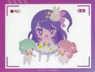 Hoshino Eye & Little Twin Stars "【 Sugukoko 】 × Sanrio Character Drivers POP SHOP Acrylic Card"